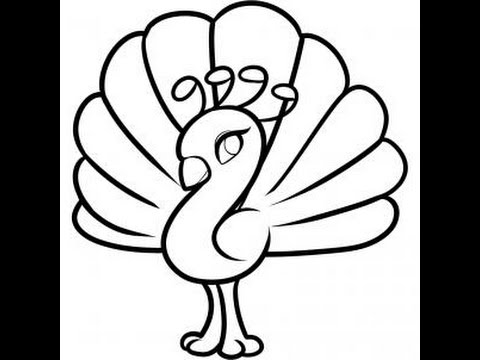 480x360 How To Draw A Peacock Step By Step