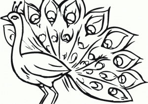 300x210 A Drawing Of A Peacock