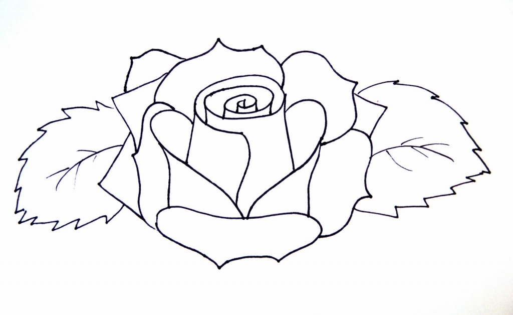 1024x628 Easy Drawings Of Roses Simple Roses Crafthubs
