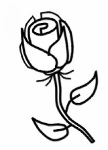 218x302 Photos Simple Drawing Of Rose,