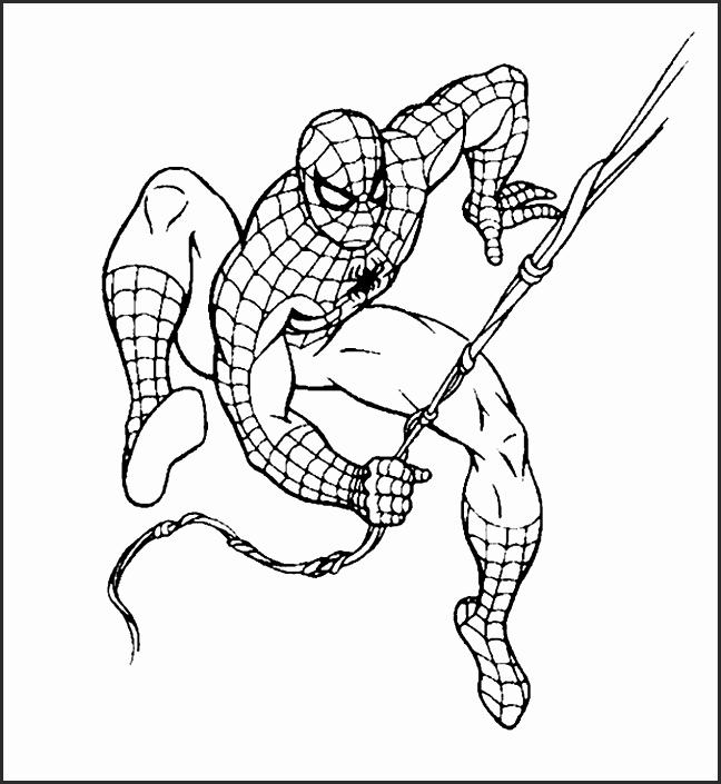 648x705 Easy Spiderman Drawings Wjdh2a Beautiful How To Draw Spiderman
