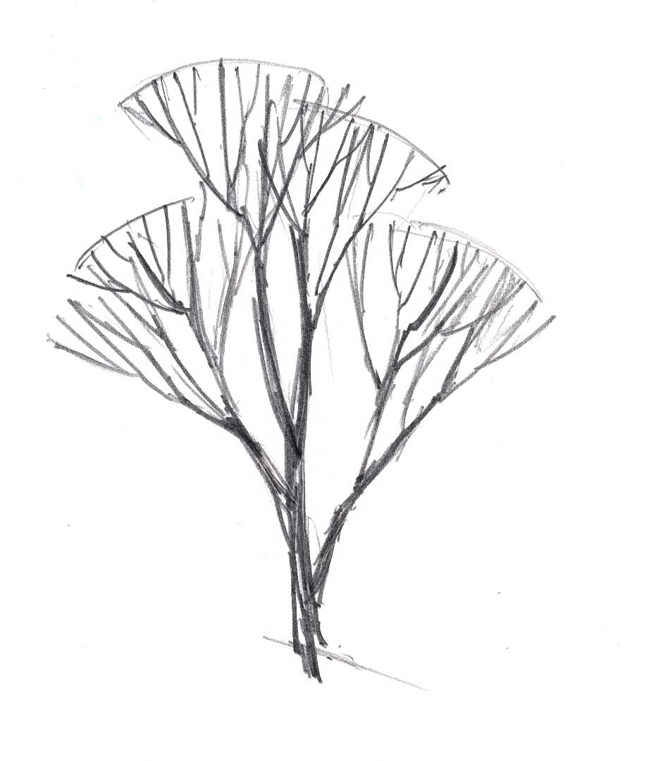 931x1080 How To Draw Trees In Winter