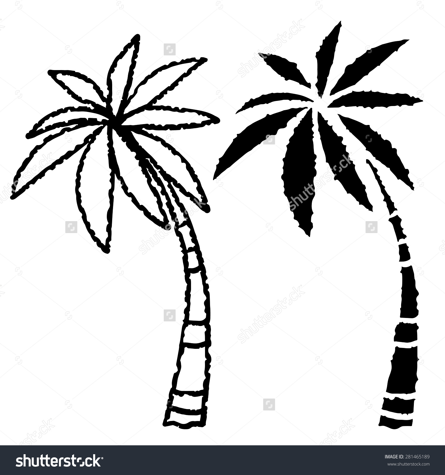 1500x1600 Drawn Palm Tree Simple