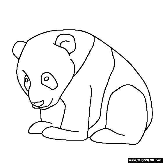 Easy Drawing Panda
