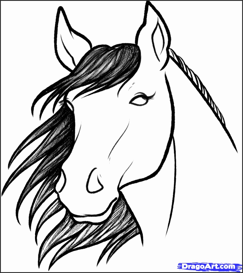 840x946 Easy Drawing Of A Horse U2fsb Unique Easy Horse Drawings In Pencil