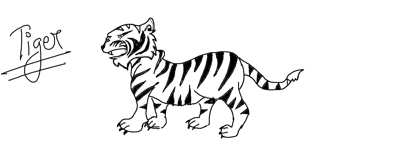 1359x540 White Tiger Clipart Easy Draw