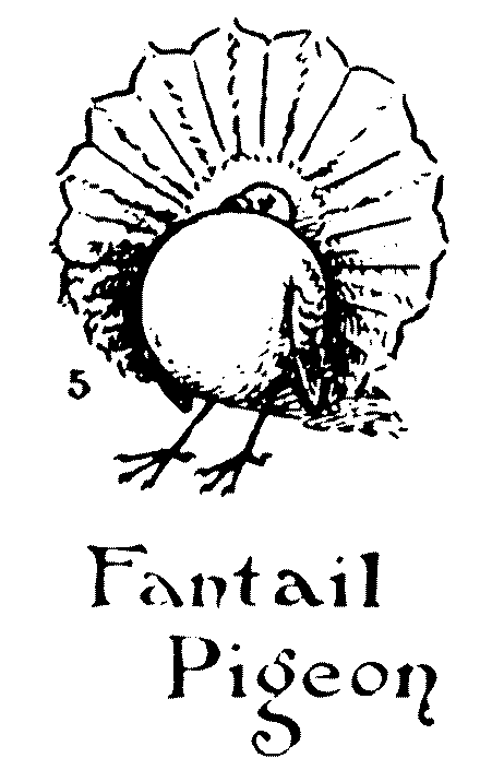 462x705 How To Draw Animals Step By Step