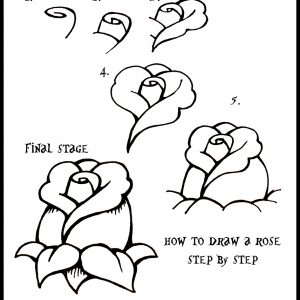 300x300 Drawing An Easy Rose Adult