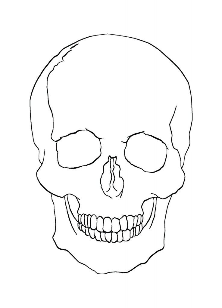 737x1024 Simple Skull Drawing Skull Line Art Clipartsco