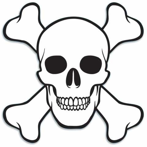 480x480 Cover Up Simple Skull Drawings Easy Drawings Of Skulls Clipartsco