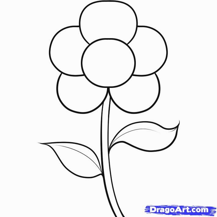 711x711 Easy Drawing Pictures Of Flowers Click Visit Link For Detail