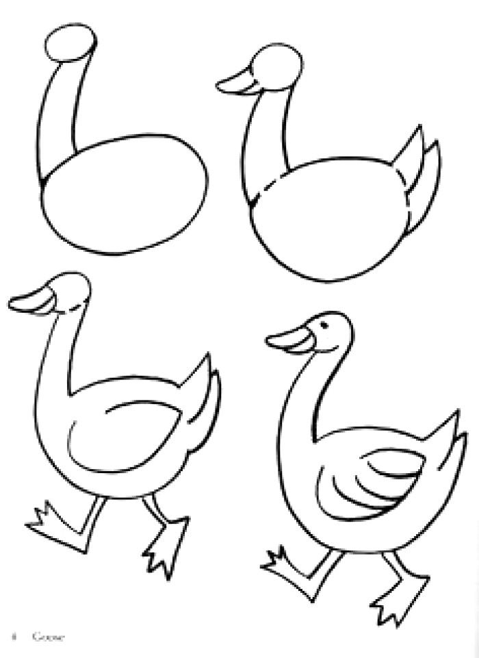 Easy Duck Drawing at GetDrawings | Free download