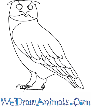 300x350 How To Draw A Eurasian Eagle Owl