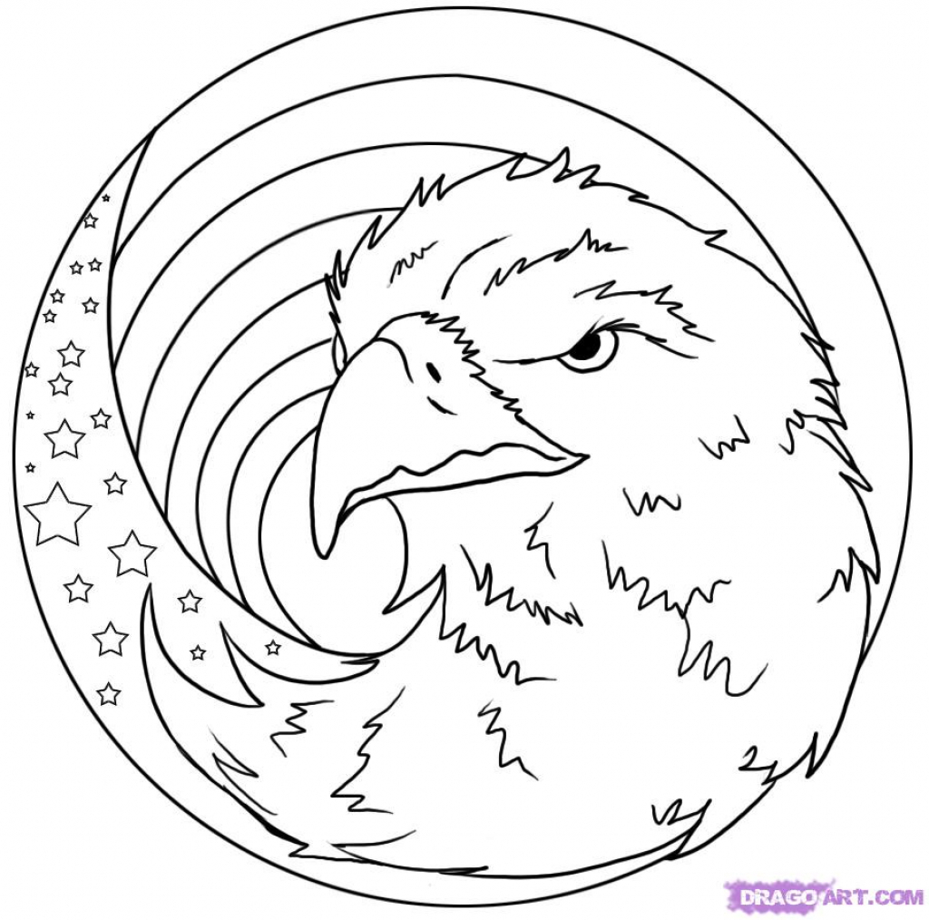 1024x1014 American Eagle Draw How To Draw An American Eagle, Stepstep