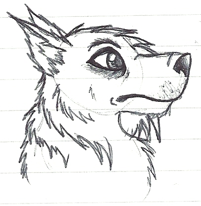 407x417 College Doodle Emo Wolf By Dark Stitch