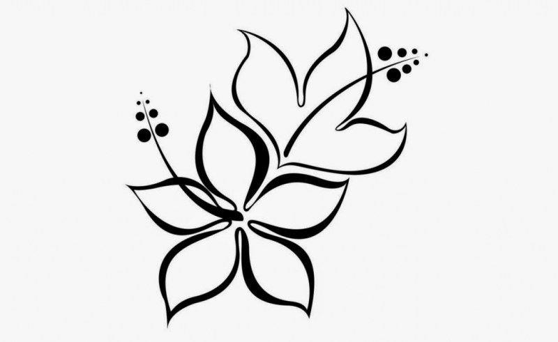 Easy Flowers Drawing