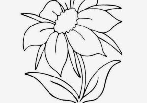 300x210 Pretty Drawings Of Flowers