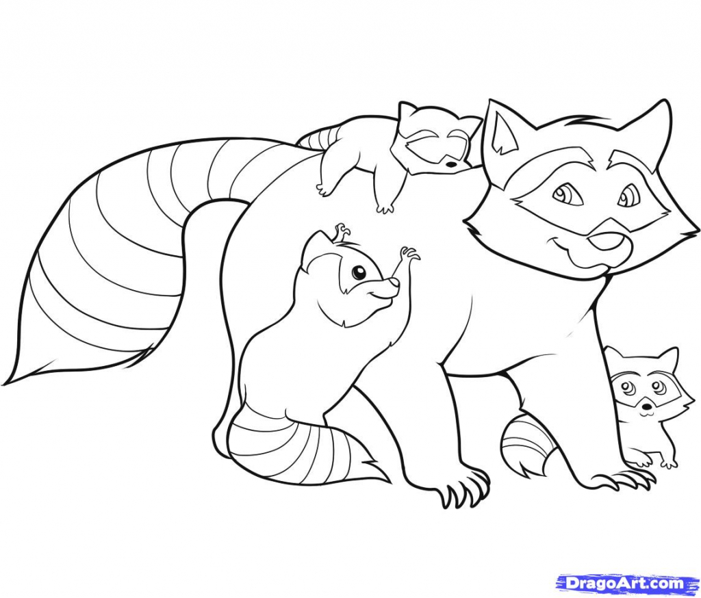 1024x874 How To Draw Forest Animals Step By Step Easy Raccoon Drawing How