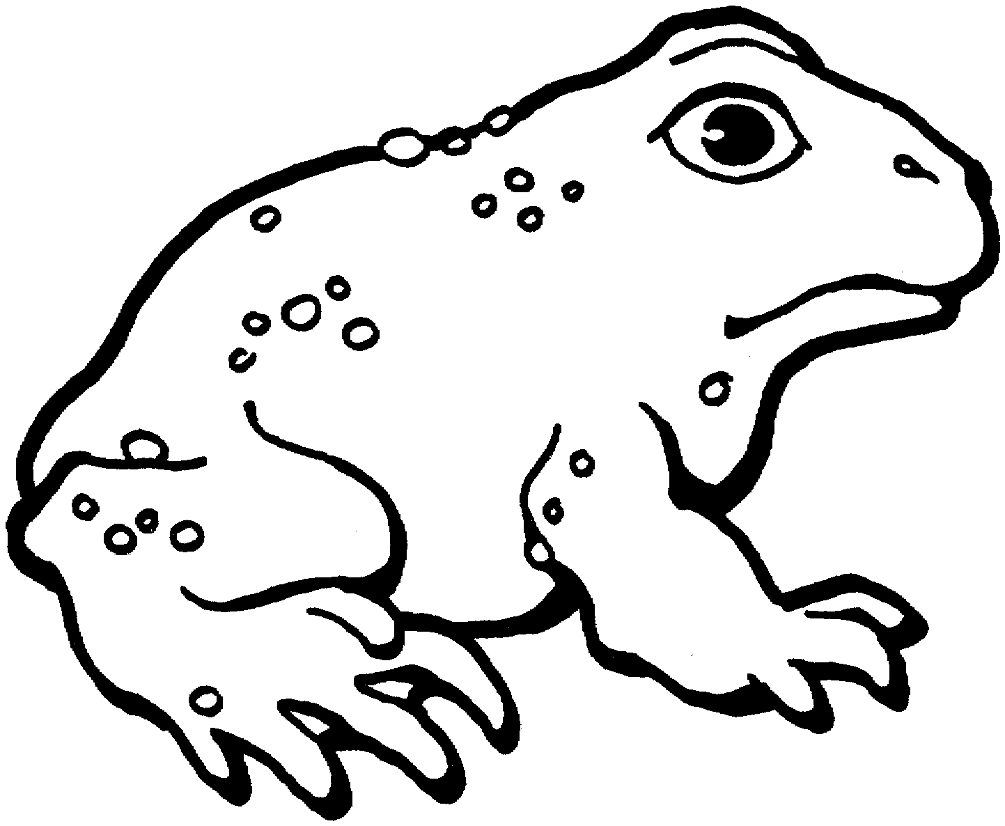 1443x1186 Toad Coloring Pages