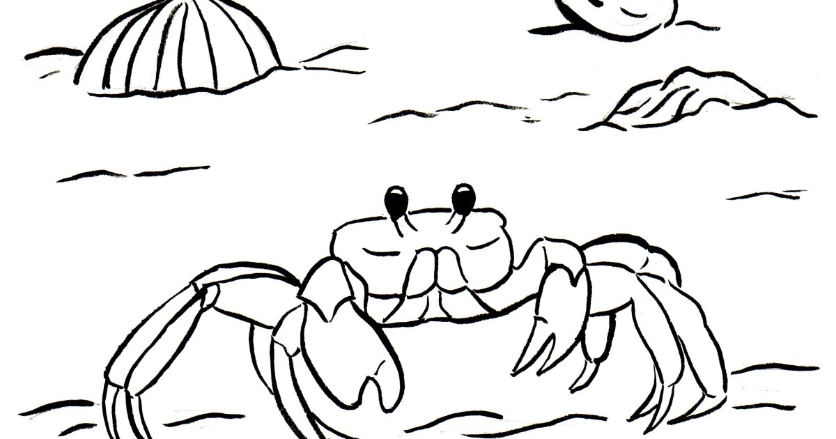 1200x630 Ghost Crab Coloring Page