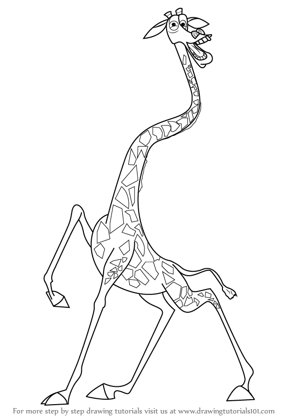 592x844 Learn How To Draw Melman The Giraffe From Madagascar (Madagascar