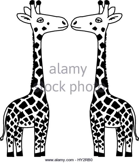 461x540 Cartoon Giraffe Black And White Stock Photos Amp Images