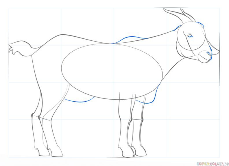 792x575 How To Draw A Goat Step By Step Drawing Tutorials