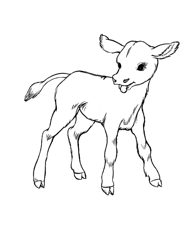 650x820 Farm Animal Template
