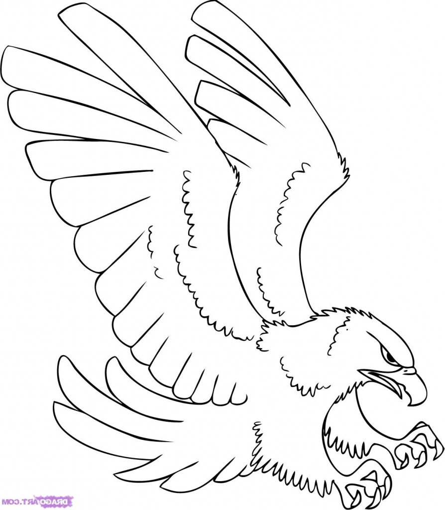 Easy Hawk Drawing at GetDrawings | Free download