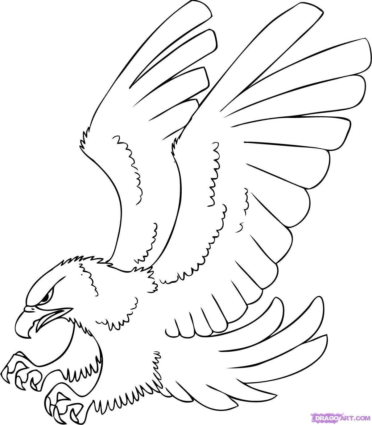 1206x1380 Free Hawk Images To Draw A Cartoon Hawk, Step By Step, Cartoon