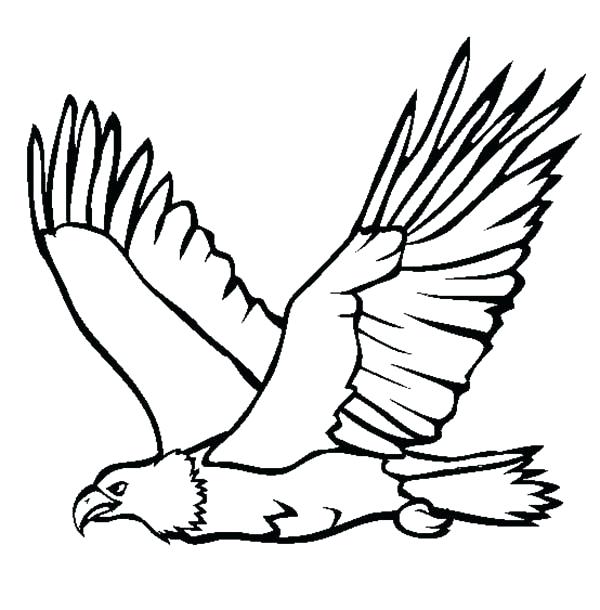 600x610 Complete Bald Eagle Coloring Page Fee