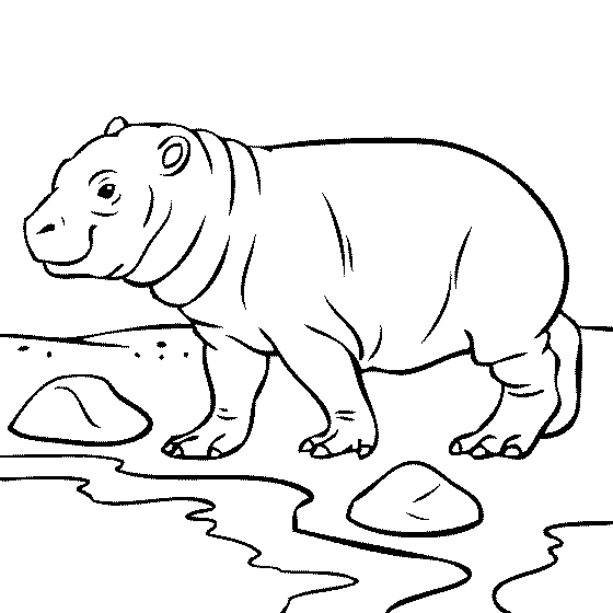 560x560 Drawn Baby Animal Hippo
