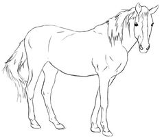 236x202 Pin By Nc Yvz On Hoby Horse Art And Sketches