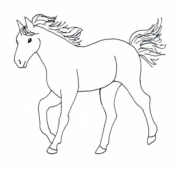 570x558 Easy Horse Drawings Step By Step