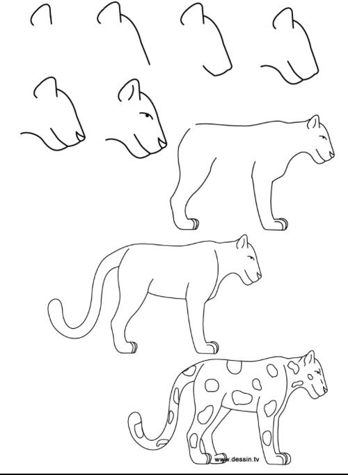 500x682 How To Draw A Leopard Drawing Leopards, Draw