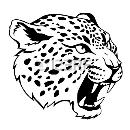 450x450 Jaguar Stock Photos. Royalty Free Business Images