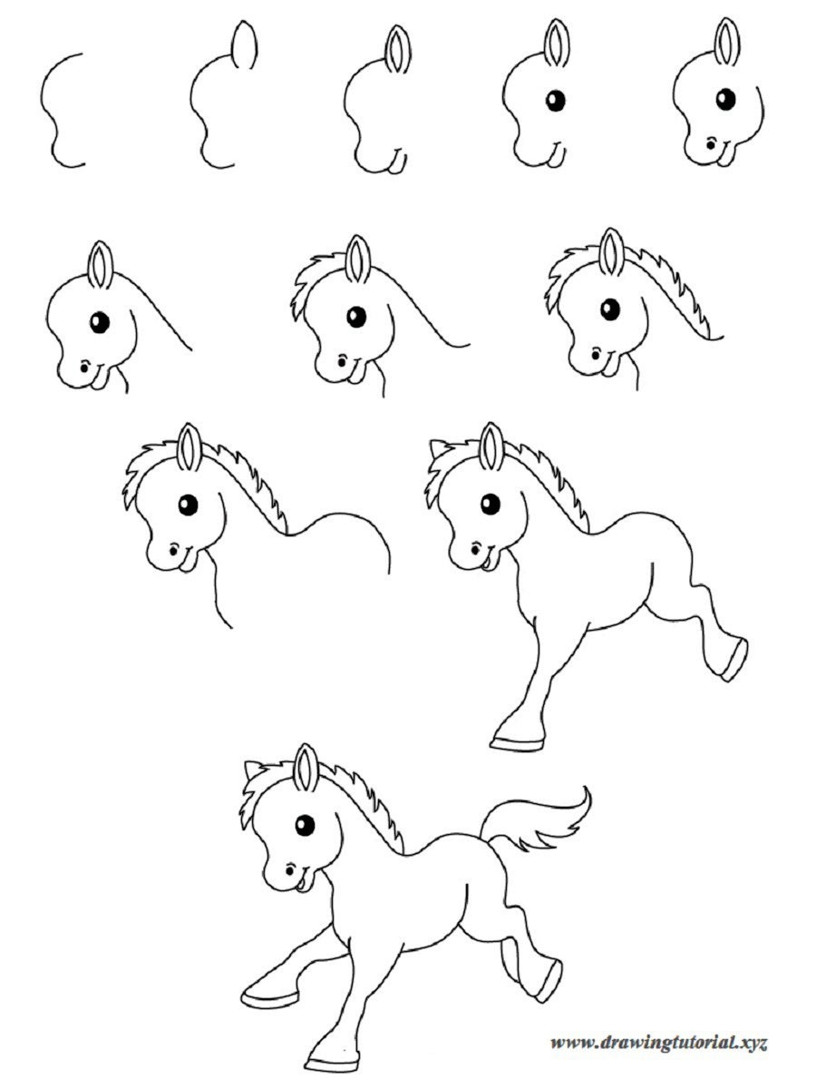 900x1200 Step By Step Animal Drawings How Draw Simple Learn How