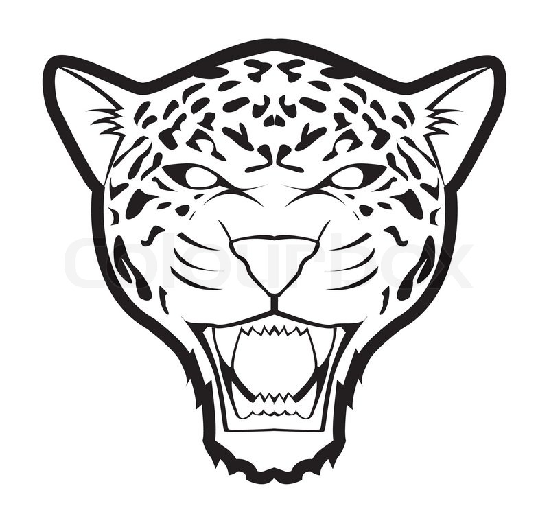 800x762 Cartoon Jaguar Drawings Jaguar Mascot Drawings
