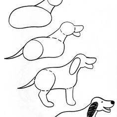 Easy Kangaroo Drawing