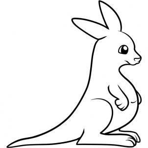 302x302 How To Draw How To Draw A Kangaroo For Kids
