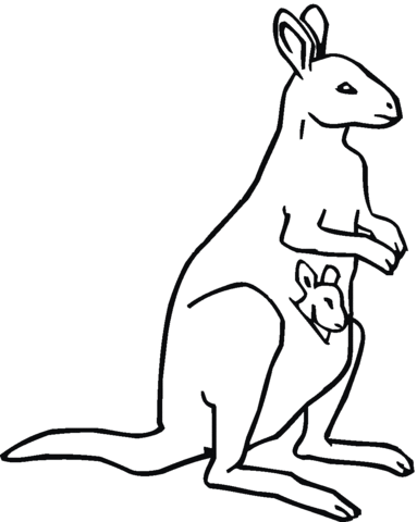 383x480 Baby Kangaroo In Mother's Pouch Coloring Page Free Printable