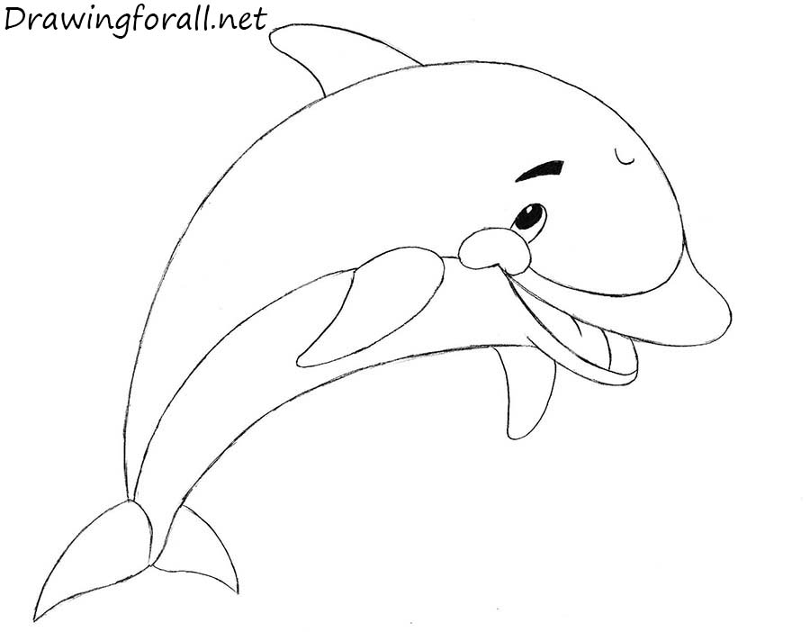 900x702 Drawn Dolphin Easy Kid