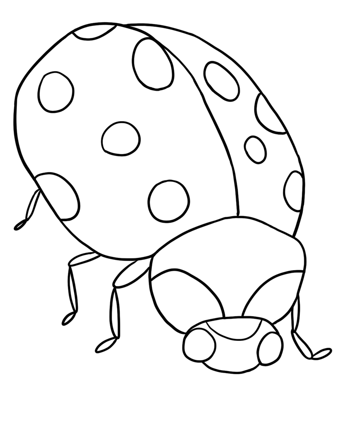 700x875 Bug Museum