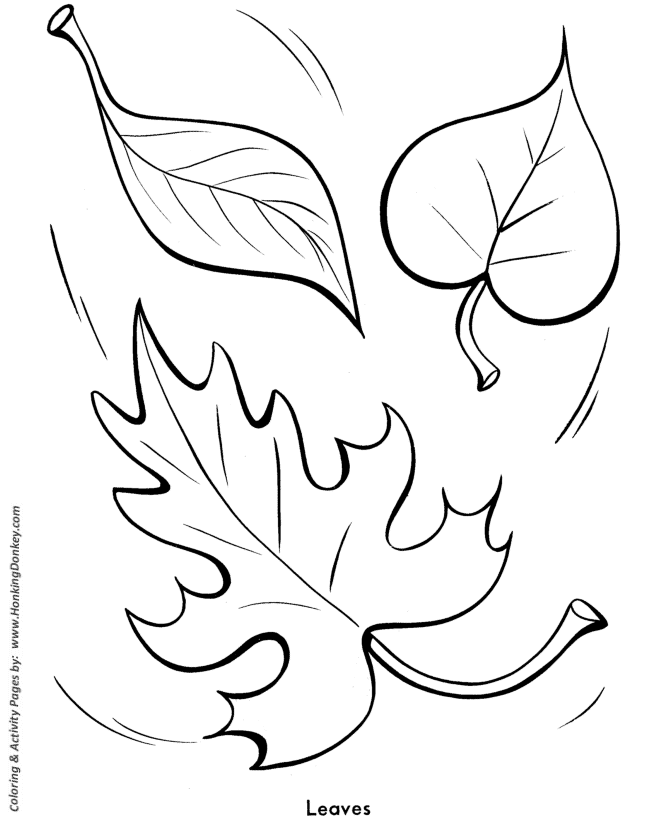 670x820 Easy Shapes Coloring Pages Free Printable Fall Leaves Easy