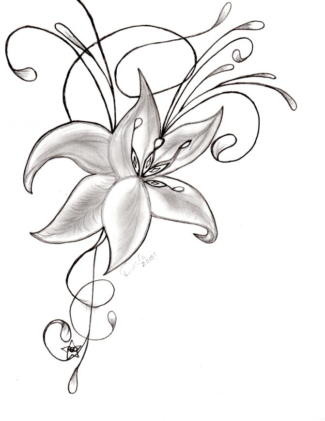 671x868 Coloring Pages Draw Beautiful Flowers Beautiful Flowers To Draw