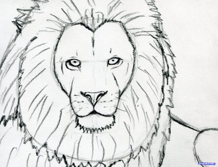 750x575 Coloring How Draw A Lion Face Roaring Easy As Well As How