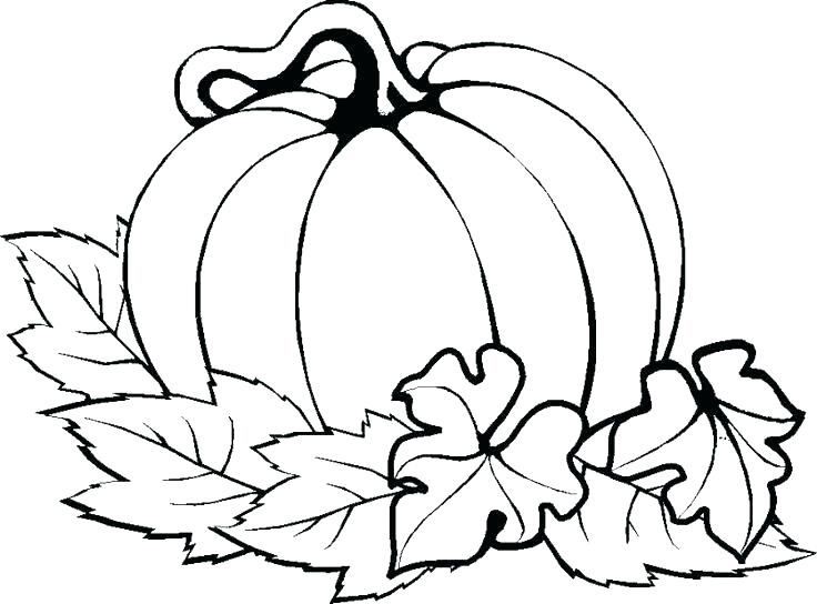 736x544 Leaves Coloring Pages Maple Leaf Coloring Page Leaves Coloring