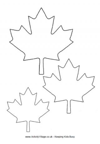 320x459 Maple Leaf Template International Ideas For Girl Scouts
