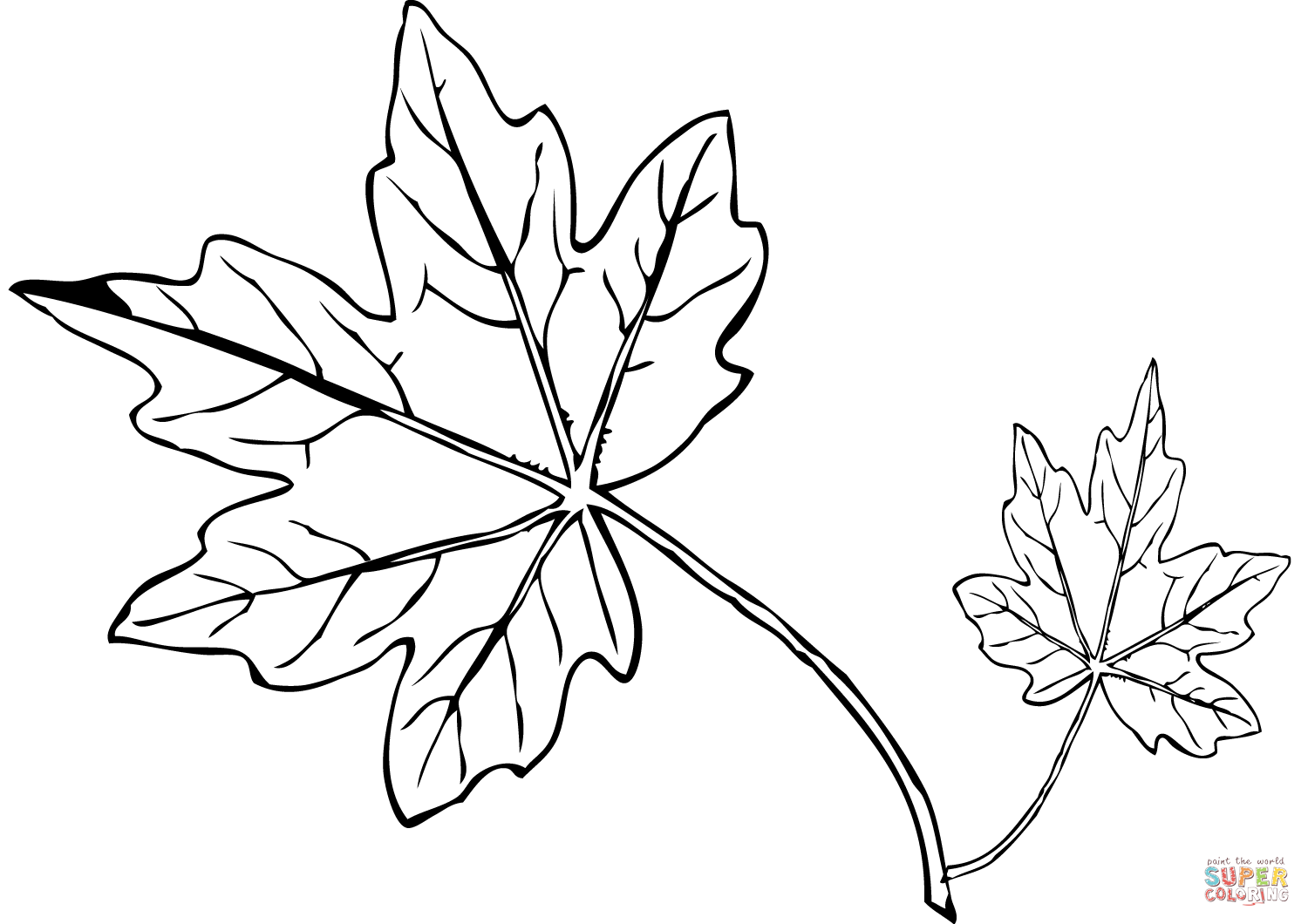 1500x1060 Maple Leaf Coloring Page Free Printable Coloring Pages