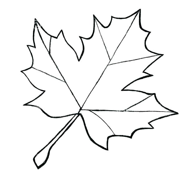 600x624 Coloring Page Leaf Fall Coloring Sheet Coloring Pages Toronto
